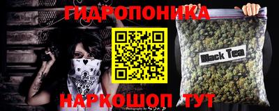 стафф Партизанск
