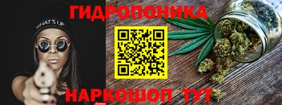 МДПВ Пугачёв