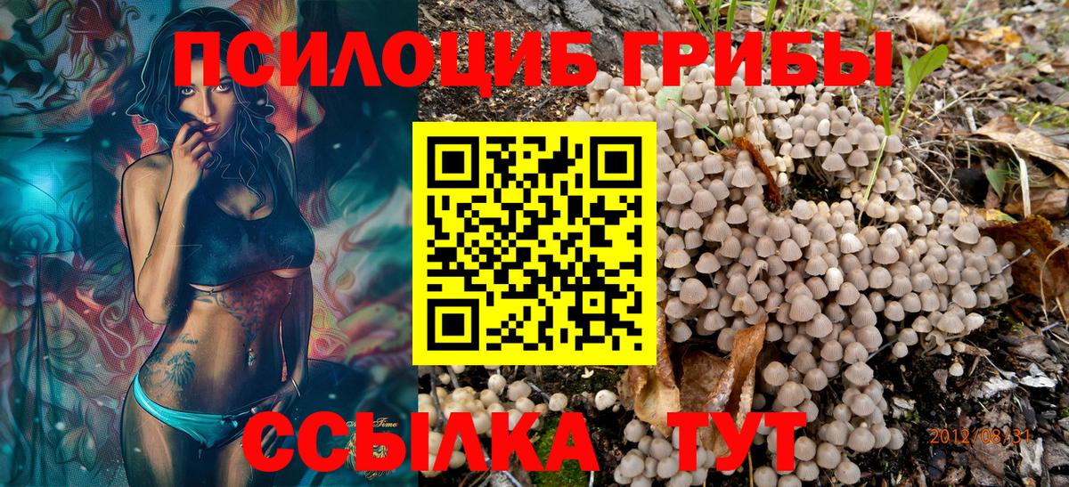 наркошоп  Псилоцибиновые грибы мухоморы  Вход с VPN  Сарапул 