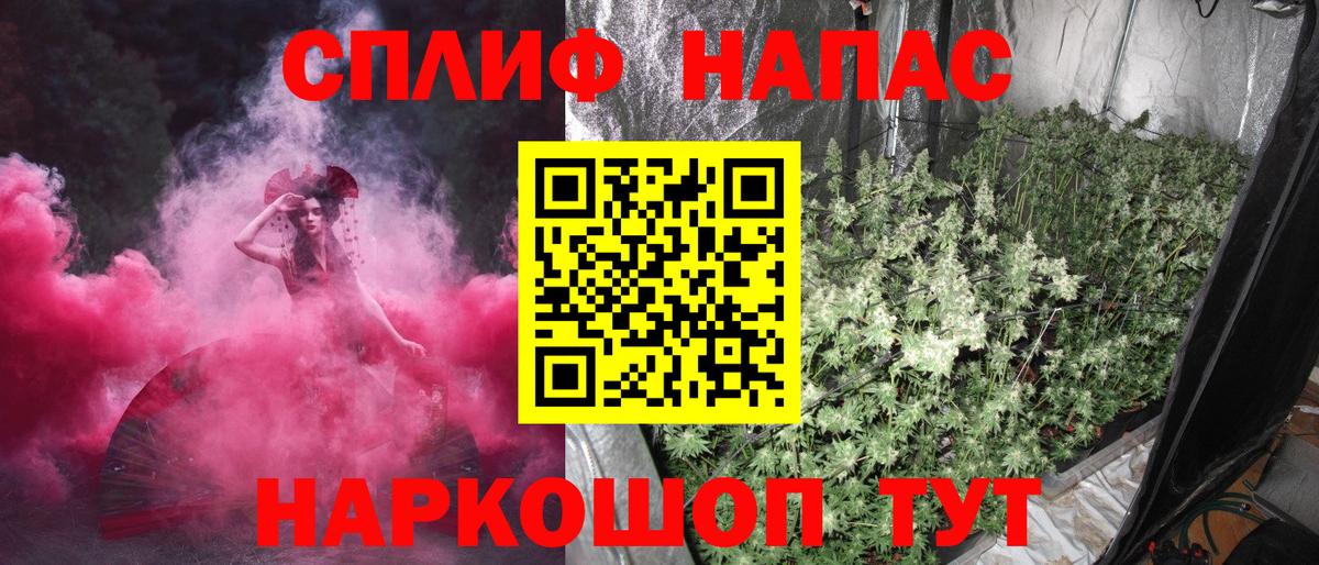 Бошки Шишки MAZAR  Вход с VPN  Сарапул  Конопля планчик  Бошки Шишки VHQ 